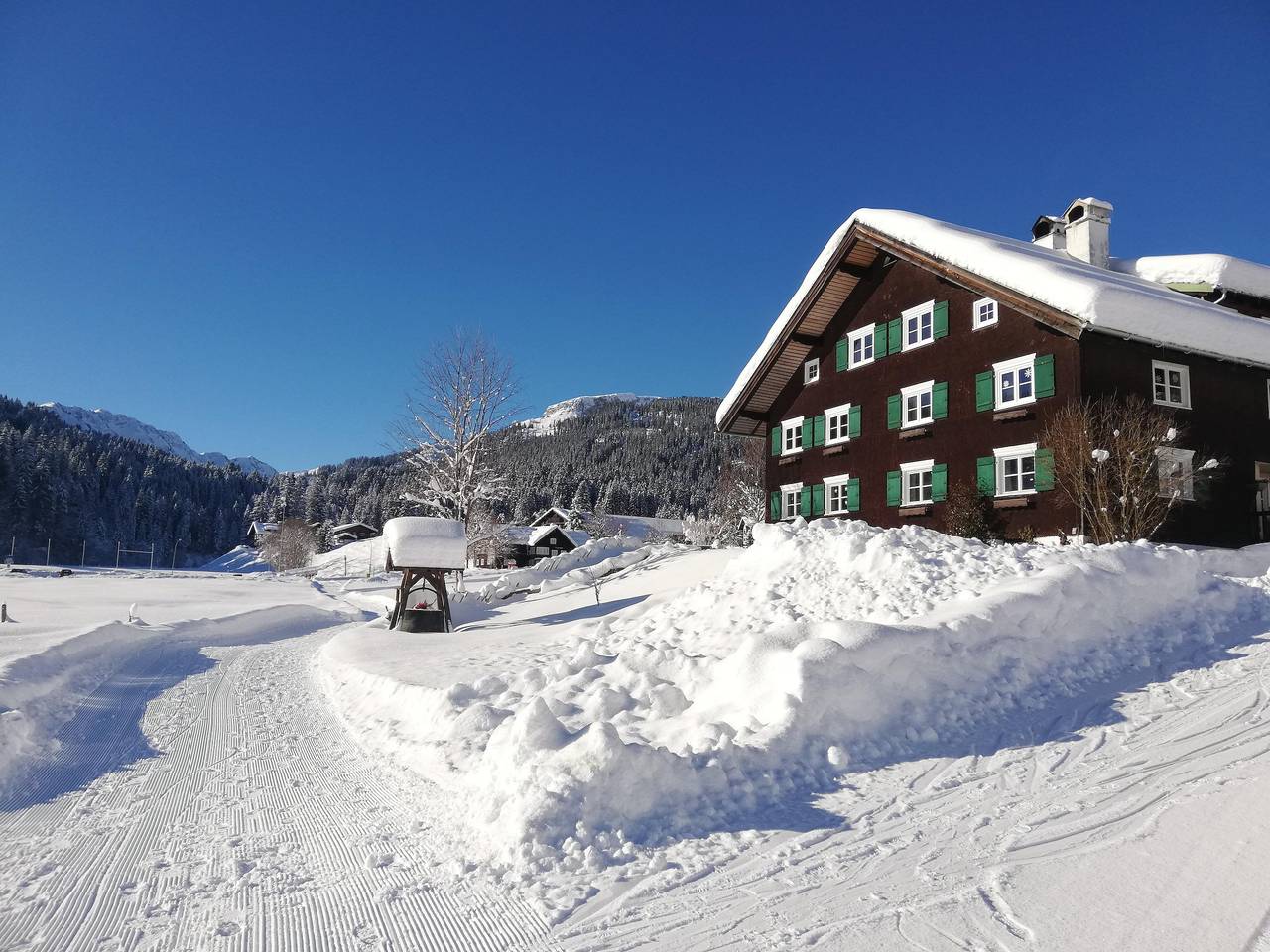 Geheel vakantieappartement, Apartment/2 Schlafräume/Dusche, Wc" Kanzelwand" in Hirschegg Kleinwalsertal, Mittelberg