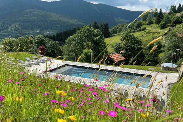 Chalet pour 10 personnes, avec sauna ainsi que jacuzzi et jardin à Bussang - 2