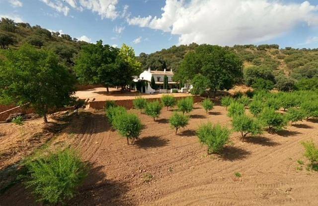 Casa rural para 12 personas, con Terraza y Jardín además de Piscina y Vistas en Ossa de Montiel - 3