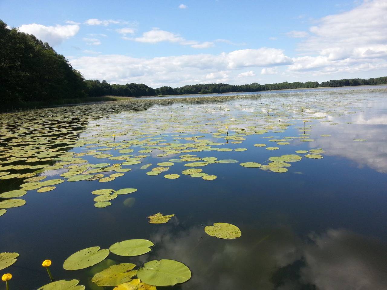 Apartamento entero, Ferienwohnung - gemütliche Stunden, 100 m zum Wasser, Ruhe und Natur pur in Negro (color), Lagos de Mecklenburg