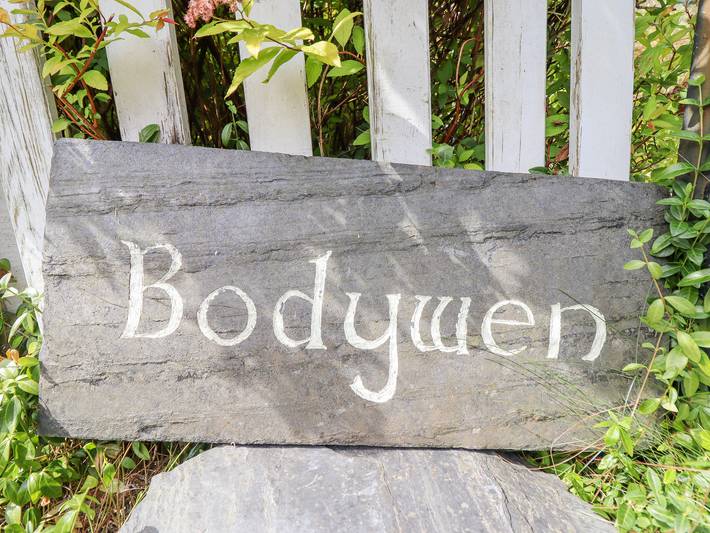 Bodywen in Llangynog, Powys