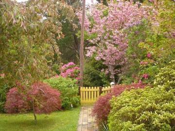 Cottage for 4 People in Blackheath (NSW), Blue Mountains, Photo 3