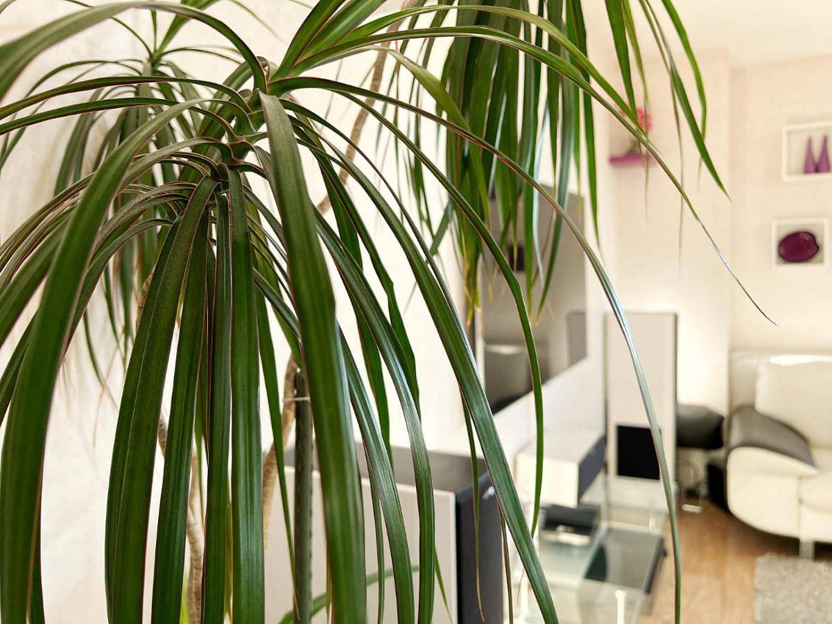 Appartement de vacances entier, Two-Bedroom Apartment in Saint-Herblain, Région de Nantes