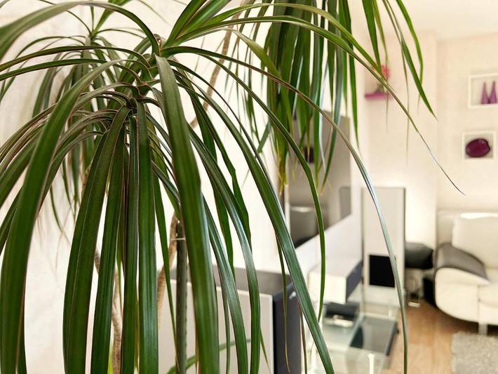 Gîte pour 4 personnes, avec vue et terrasse à Saint-Herblain - 2