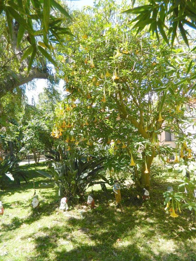 Large Double Room in Torre Archirafi, Riposto