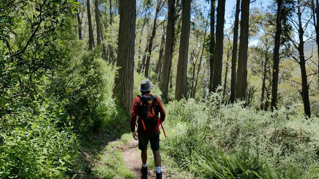 Ganze Wohnung, Horizons Resort 405 - Central Lakefront Jindabyne Apartment with resort amenities in Jindabyne, New South Wales