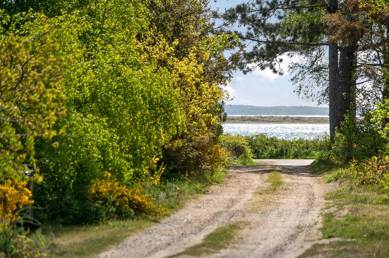 4 bedroom pet friendly home in Rørvig in Rørvig, Nordwestseeland