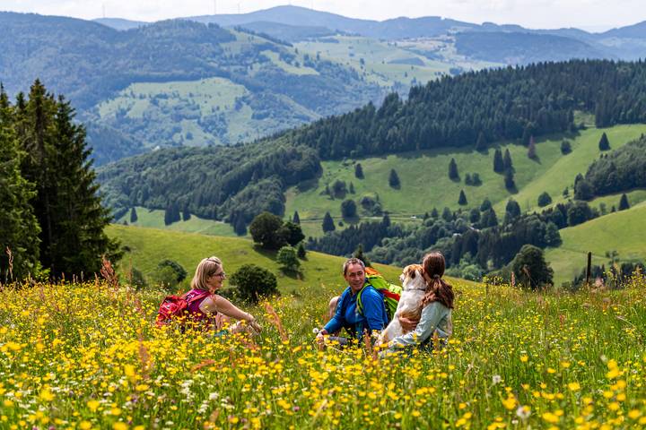 Ferienwohnung für 6 Personen, mit Balkon in Feldberg - 3