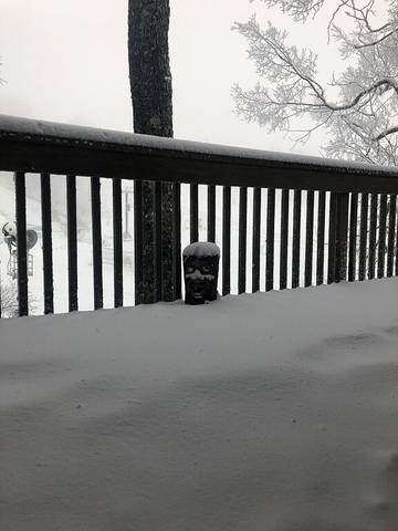 Vacation House for 11 Guests in Beech Mountain, Watauga County, Picture 3