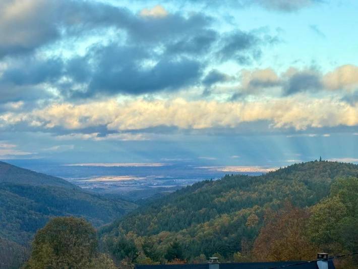 Chambre d’hôte pour 2 personnes, avec jardin ainsi que piscine et vue, animaux acceptés en Alsace - 2