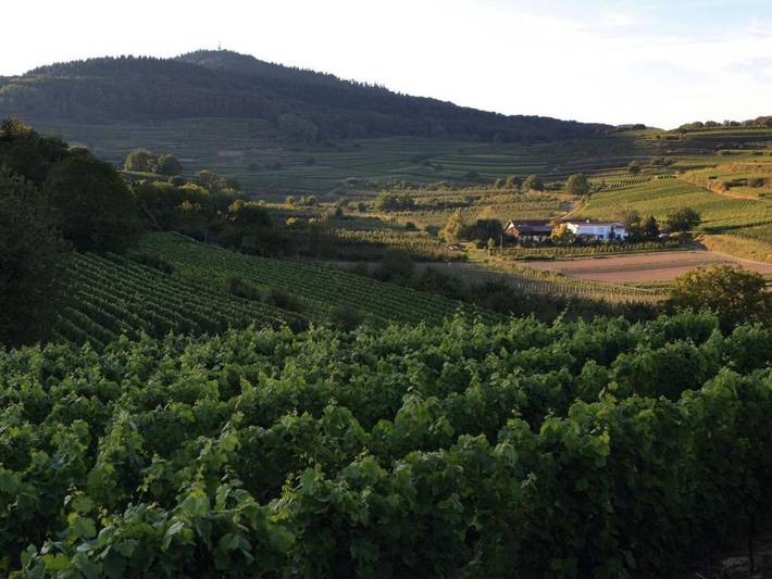 Ferienwohnung für 3 Personen, mit Terrasse - 1