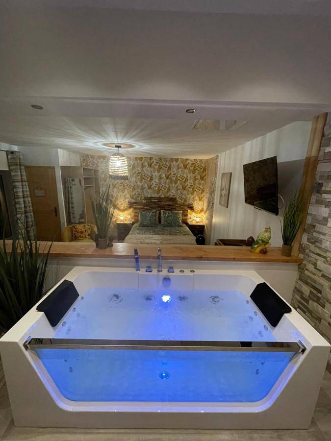 Double Room with Spa Bath in Saint-Savinien, Région de Saint-Jean-d'Angély