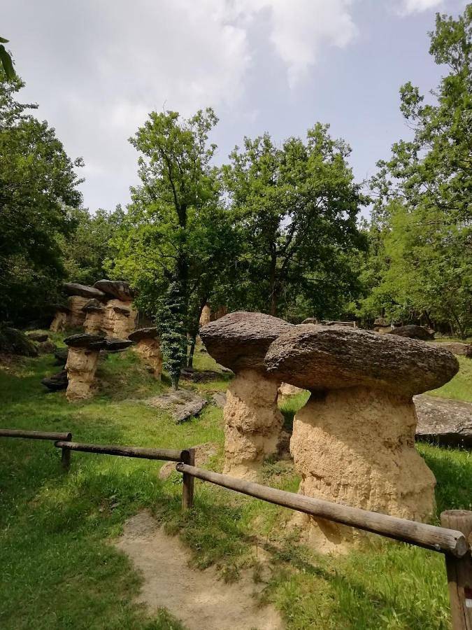 Gîte pour 3 personnes, avec vue et jardin à Villar San Costanzo - 3