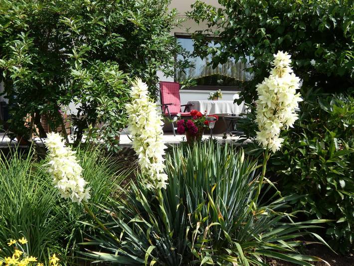 Ferienwohnung für 2 Personen, mit Terrasse und Garten in Gersfeld - 2