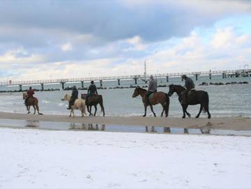 Ferienwohnung für 2 Personen in Wustrow, Fischland - Darß - Zingst, Bild 4