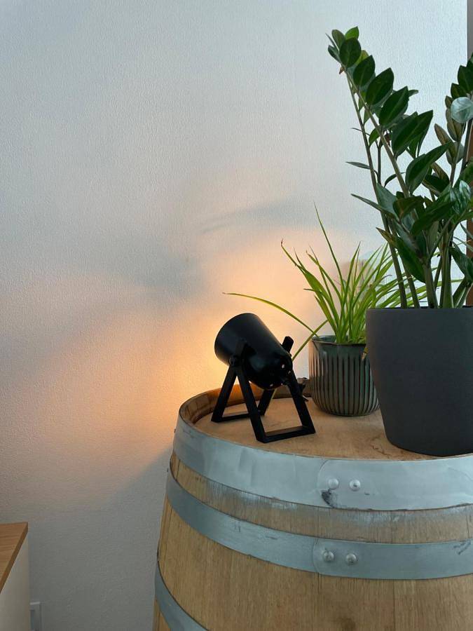 Ferienwohnung für 5 Personen, mit Balkon und Terrasse in Oberotterbach