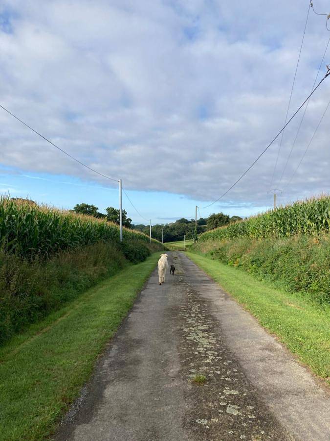 Location de vacances pour 6 personnes, avec vue et terrasse à Bazouges-la-Pérouse - 4