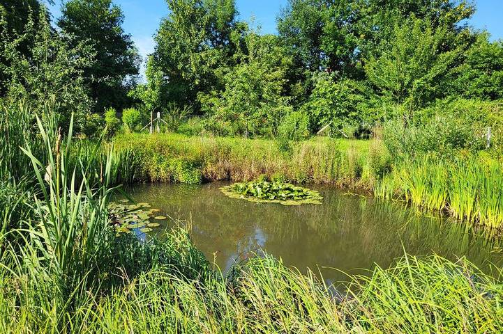 Location de vacances pour 5 personnes à Bacqueville-en-Caux - 3