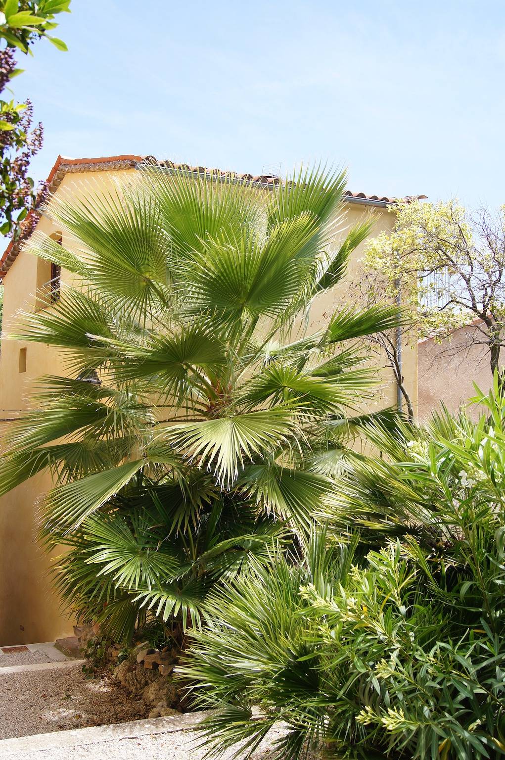 Place St. Pierre in Callas, Région de Draguignan