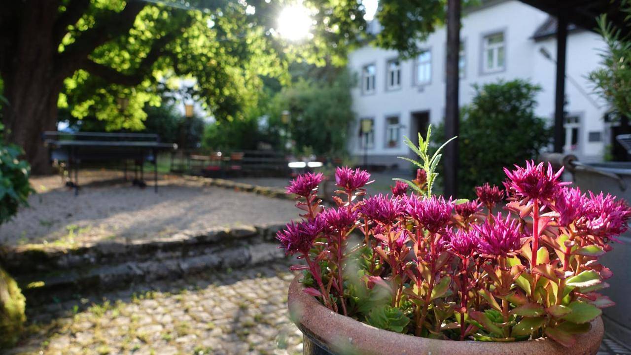 Ganze Wohnung, Hinkelshof - als Ferienwohnung - Selbstversorgerküche & Aufenthaltsräume - Südeifel, Mullerthal, Vianden in Körperich, Eifelkreis Bitburg-Prüm