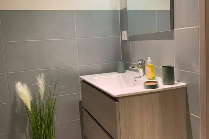 Gîte pour 4 personnes, animaux acceptés à Sauveterre-de-Béarn - 3