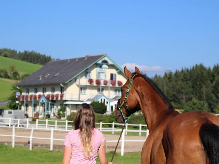 Hotel für 3 Personen, mit Terrasse und Garten, mit Haustier