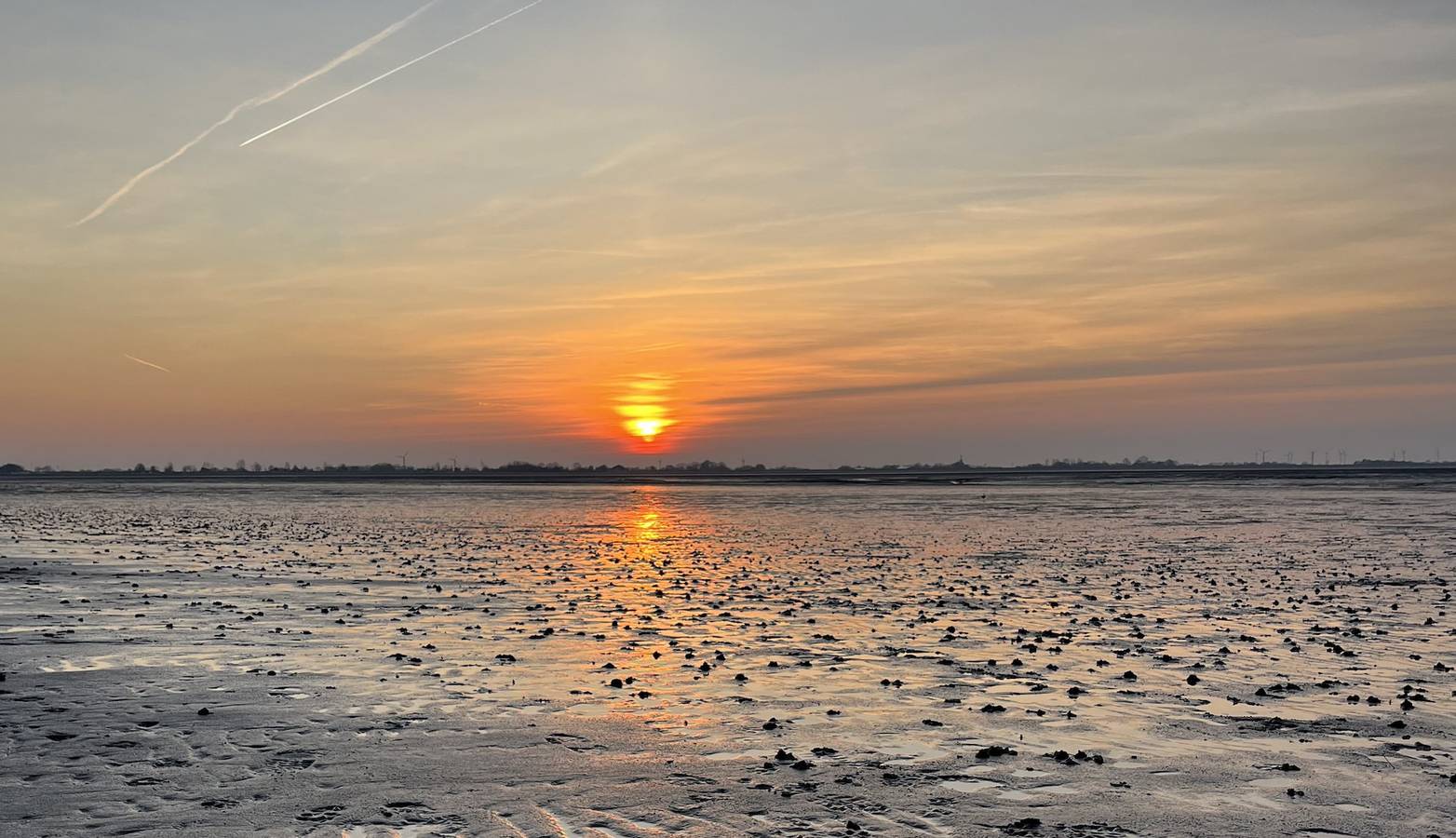 Appartement de vacances entier, Appartement de vacances pour 2 personnes avec terrasse in Schillig Strand, Wangerland