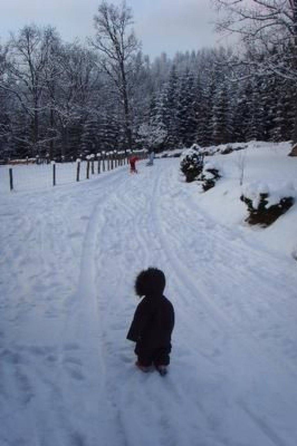 Apartamento inteiro, Große Wohnung in Bayerisch Eisenstein in Bayerisch Eisenstein, Arberland