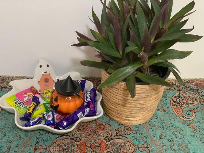 Villa pour 3 personnes, avec jardin et vue à Sydney - 4