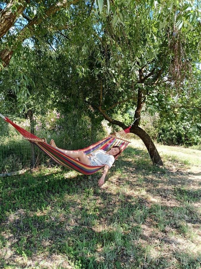 Agriturismo Terra Del Vento in Genazzano, Provincia di Roma