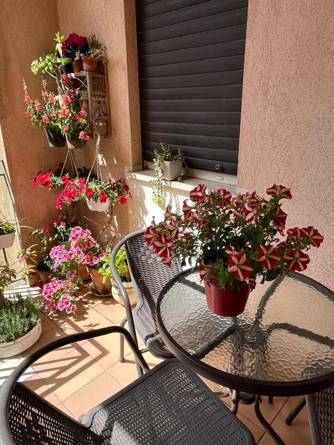 B&B Fleurs in Enna, Province d'Enna