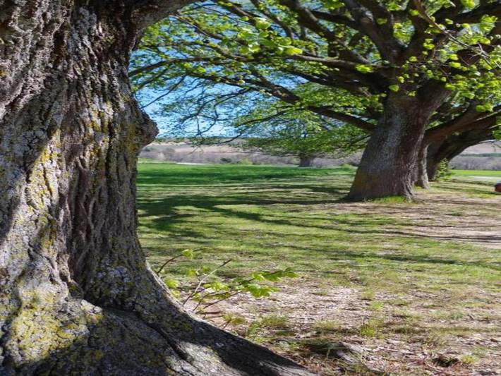 Gîte pour 2 personnes, avec jardin et terrasse à Lus-la-Croix-Haute - 4