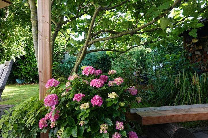 Ferienwohnung für 4 Personen, mit Terrasse und Garten in Hemsbach - 4