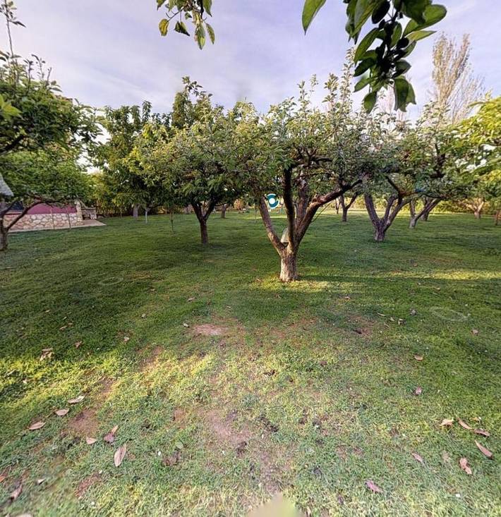 Chalet para 20 personas, con piscina además de jardín y vistas en Tierra de Campos - 4