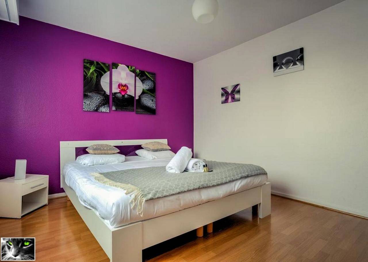 Appartement entier, Apartment in Schiltigheim, Région de Strasbourg