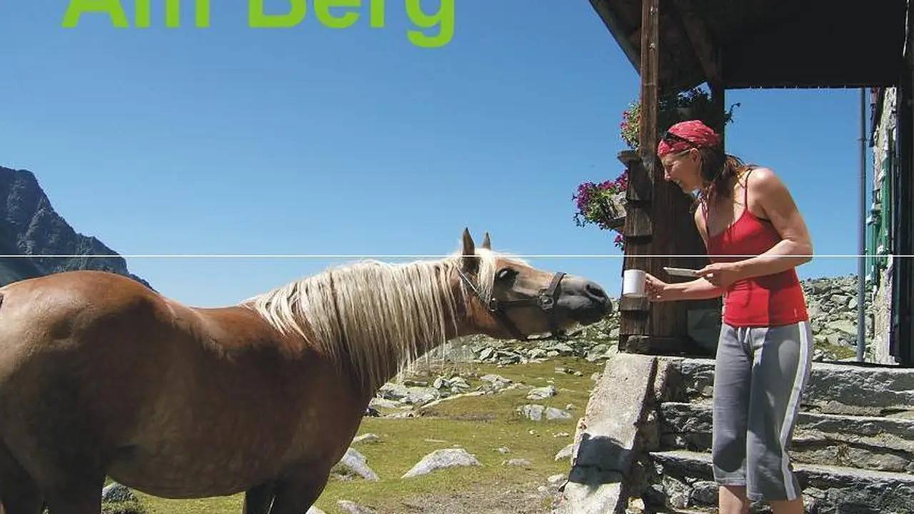 Ganze Ferienwohnung, Ferienwohnung für 4 Personen (55 m²) in Stall in Stall, Bezirk Spittal an der Drau