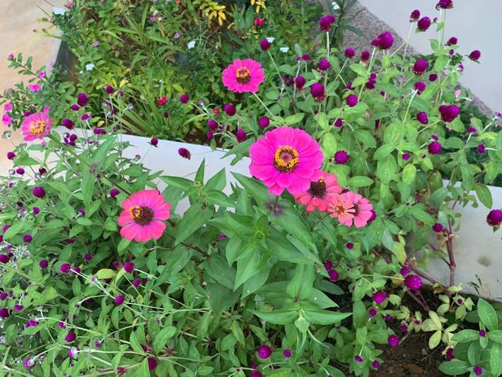 Gîte pour 4 personnes, avec vue et jardin dans Takamaka - 4