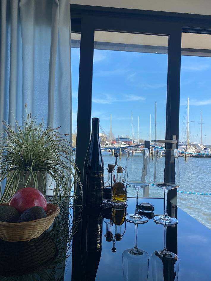 Hausboot für 5 Personen, mit Ausblick und Terrasse, mit Haustier in Schleswig-Holstein - 3