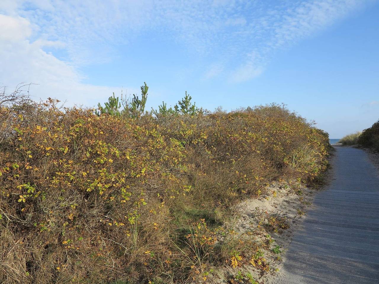 6 Personen Ferienhaus in Ålbæk in Napstjert, Jerup