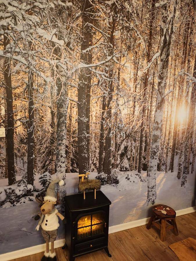 Gîte pour 4 personnes, avec vue et balcon, animaux acceptés dans Gréolières les Neiges - 2