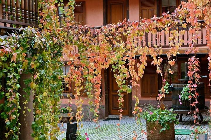 Hôtel pour 2 personnes, avec terrasse à Niedermorschwihr