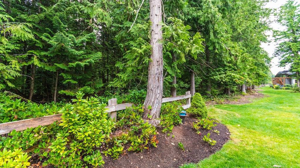 Tide's Reach Cabin: Forest Retreat nur Schritte von Rathtrevor Beach in Parksville, Regional District of Nanaimo