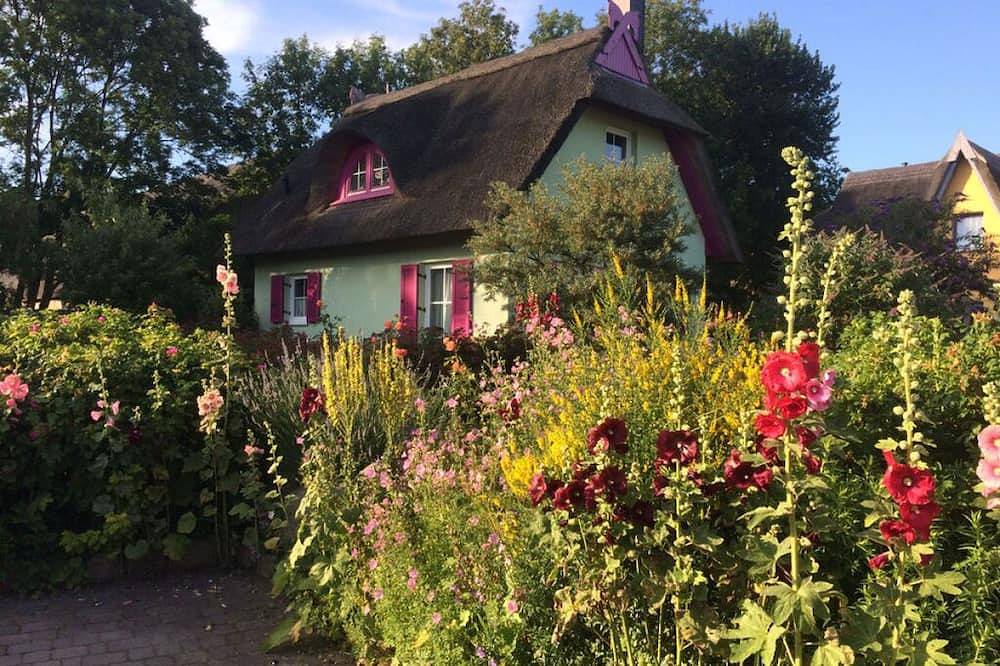 Buzo de garganta roja Retiro moderno in Putgarten, Rügen