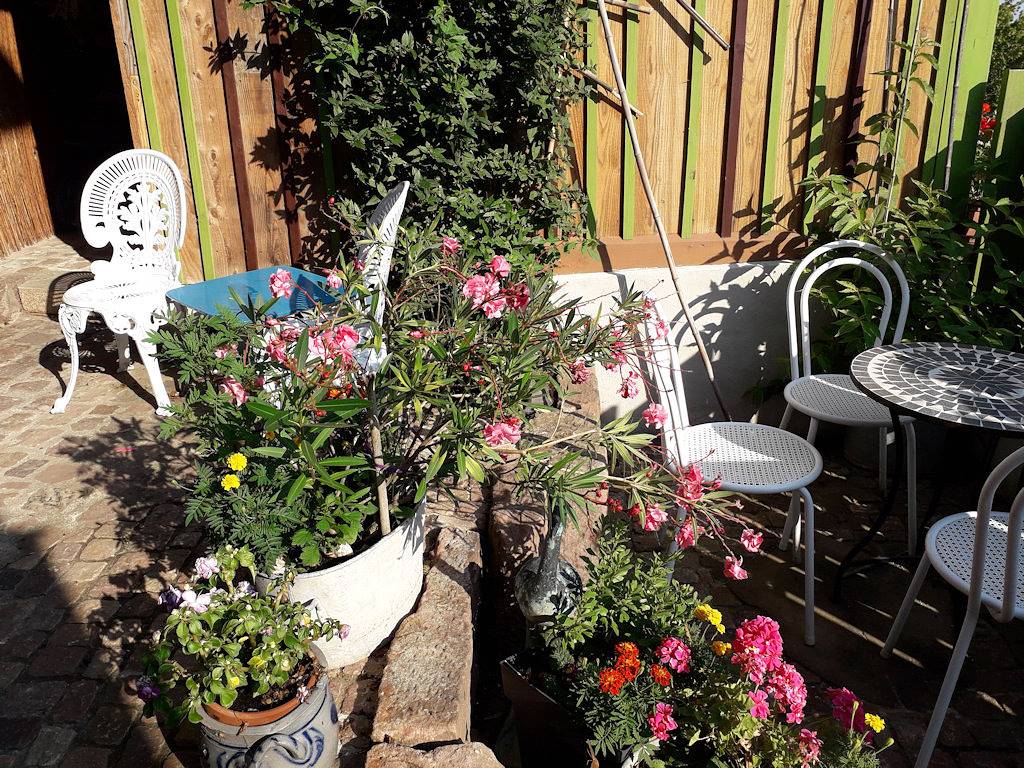 Chambre d'hôtes appartement 4 personnes - Chambre les Lupins in Geishouse, Parc naturel régional des Ballons des Vosges