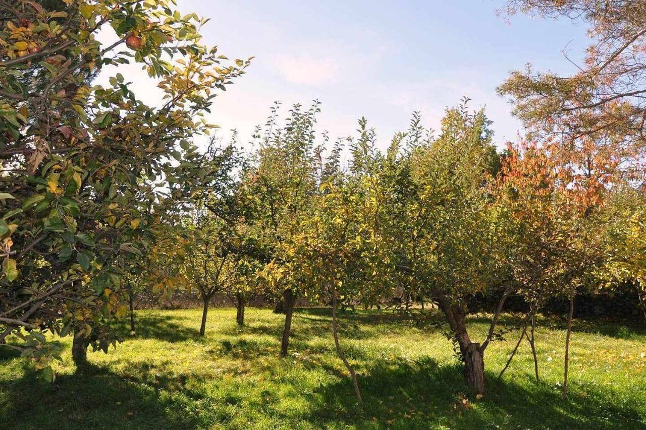 Apartamento entero, La Quinta Del Chocolatero in Navatejares, Provincia de Ávila