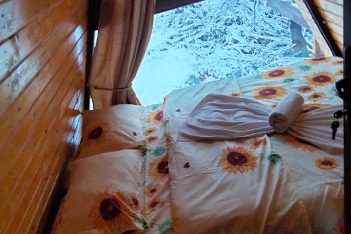 Blockhütte für 6 Personen mit Pool in Bran (Kronstadt), Walachia