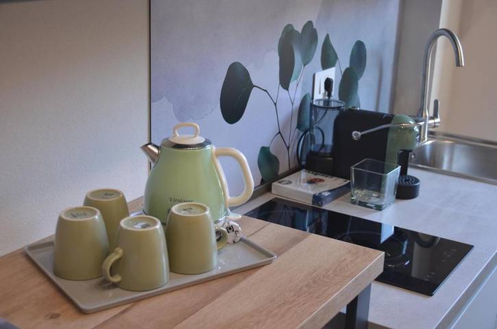 Maison d’hôte pour 3 personnes, avec terrasse et vue, animaux acceptés à San Miniato - 3