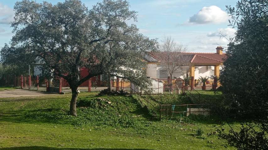 Location de vacances pour 12 personnes, avec piscine ainsi que vue et jardin à Almodóvar del Río - 3