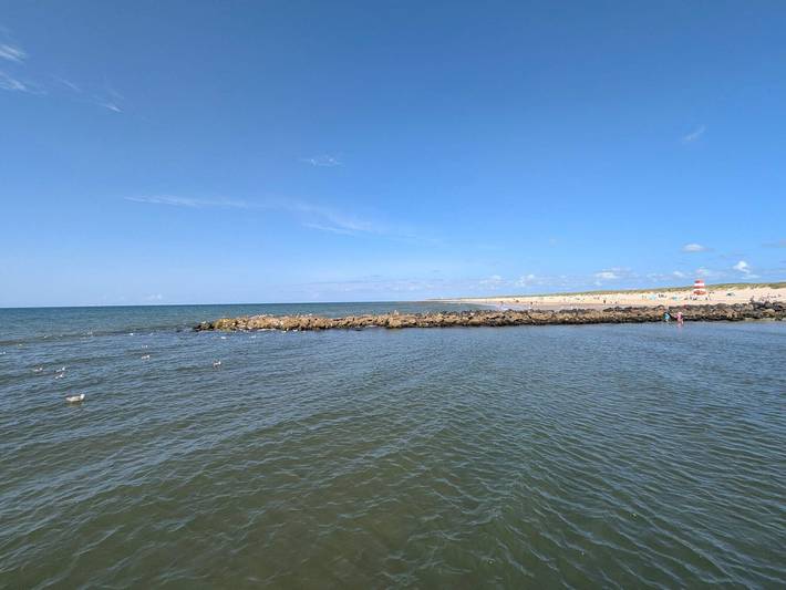 Ferienhaus für 10 Personen, mit Terrasse und Sauna sowie Whirlpool in Blavand - 3