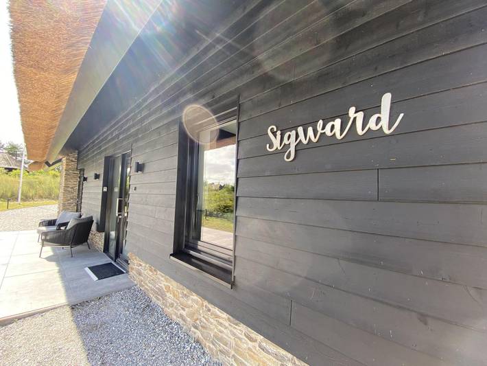 Ferienhaus für 12 Personen, mit Balkon/Terrasse und Terrasse sowie Garten und Pool in Friesland - 2